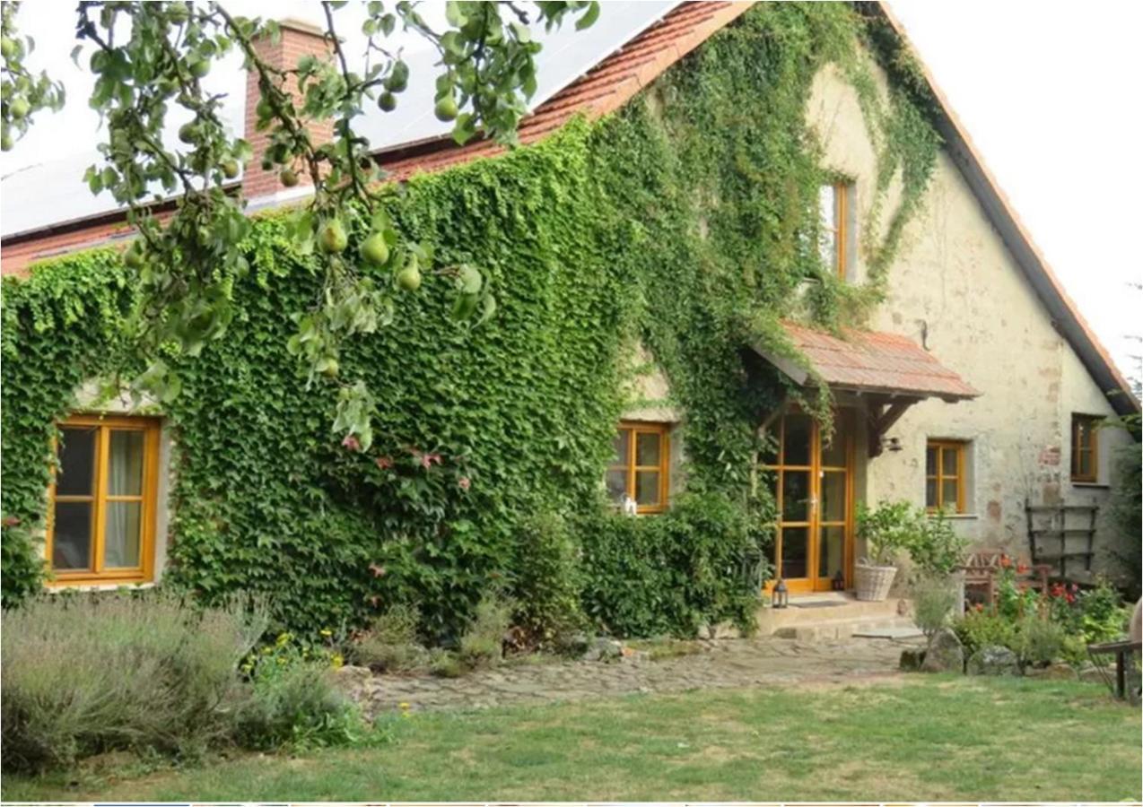 Haus Falkenhof Knüllwald Extérieur photo